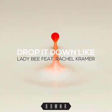 Drop It Down Like(Radio Edit)-cover