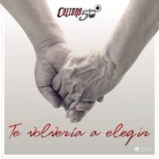 Te volveria a elegir-cover