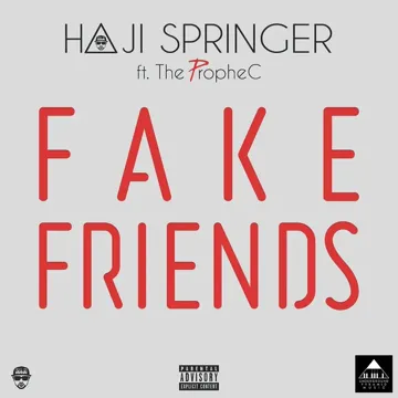 Fake Friends-cover