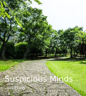 Suspicious Minds-cover