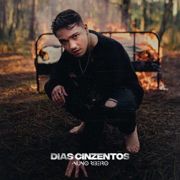 DIAS CINZENTOS-cover