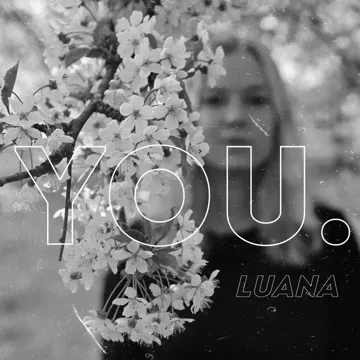 Puzzle-cover
