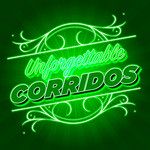Comandos Del M.P(500 Balazos)-cover