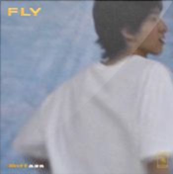 飞-cover