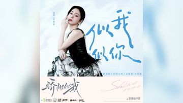 似我似你（《驕陽似我》主題曲）