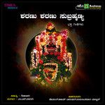 Swamy Terannu Eleyona-cover
