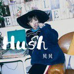 Hush-cover