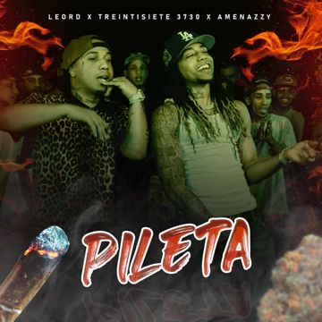 Pileta-cover