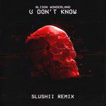 U Don't Know(Slushii Remix)-cover