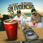 Sin Evidencia-cover