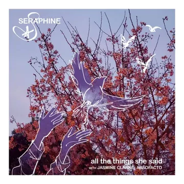All The Things She Said-cover