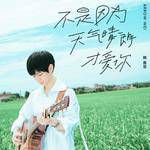 不是因为天气晴朗才爱你-cover