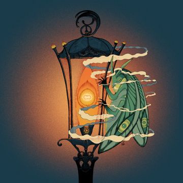 Moth-cover