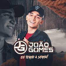 Eu Tenho A Senha-cover