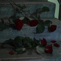 Голову мою-cover