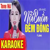 Nỗi Buồn Đêm Đông-cover