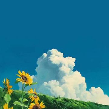 眼泪落下之前-cover