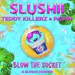 Blow The Socket-cover