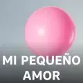 Mi Pequeño Amor