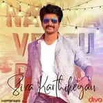 Jigiri Dosthu (From &quot;Namma Veettu Pillai&quot;)-cover