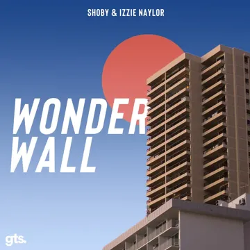 Wonderwall-cover