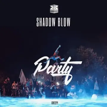 Party-cover