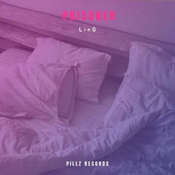 Prisoner-cover