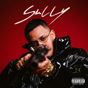 Sully-cover