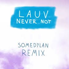 lauvconan-gray-never-not-cover-image