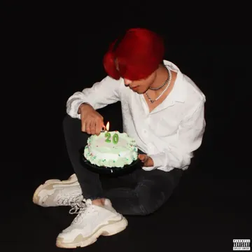 twenty years-cover
