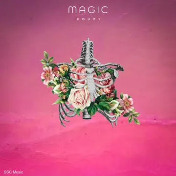 Magic-cover