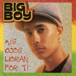 No Lo Van A Lograr-cover