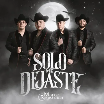 Solo Me Dejaste-cover