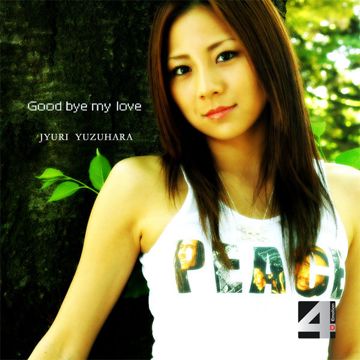 Goodbye My Love-cover