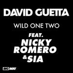Wild One Two(Disfunktion Remix)(Remix)-cover