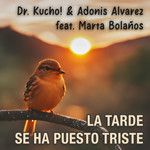 La Tarde Se Ha Puesto Triste(Disc Doctor Remix)(Remix)-cover