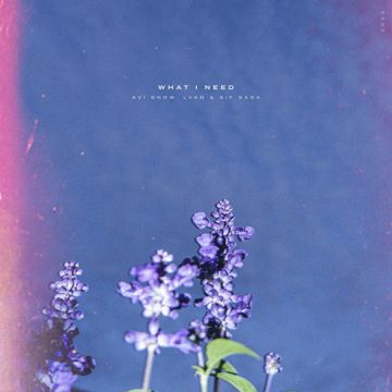What I Need-cover