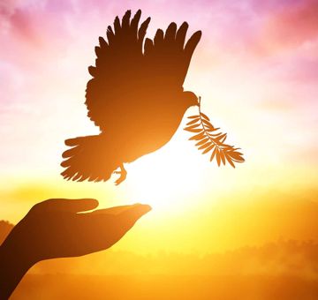 franklin-deva-kumara-deva-kumara-cover-image