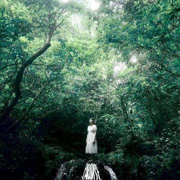 Paradise-cover