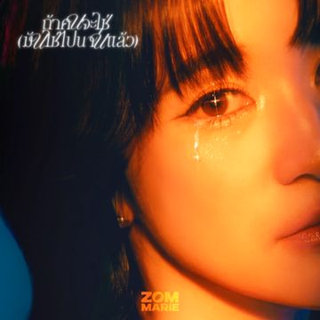 ถ้าคนจะใช่ (มันใช่ไปนานแล้ว)-cover