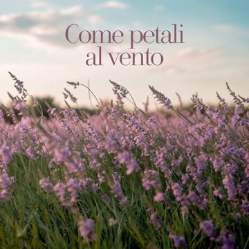coveImg
