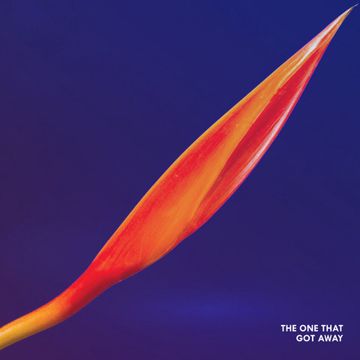 The One That Got Away-cover
