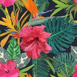 En un Cuarto Dos Amantes