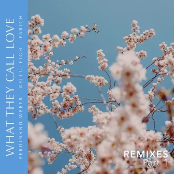What They Call Love (Audra Remix)-cover