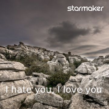 I hate you, I love you-cover