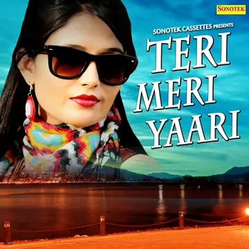 Teri Meri Yari-cover