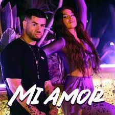 Mi Amor-cover