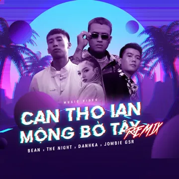 Mộng Bờ Tây (TikTok Remix)-cover