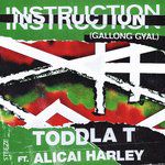 Instruction (Gallong Gyal)-cover