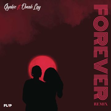Forever (Remix)-cover